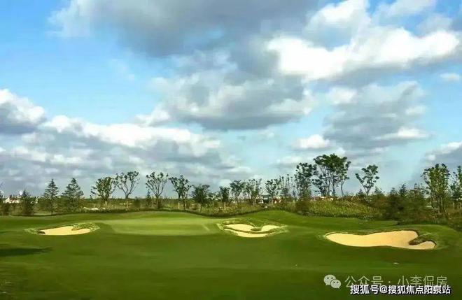 联仲·都悦汇别墅(闵行别墅)网站_联仲·都悦汇-2024楼盘评测(图4)