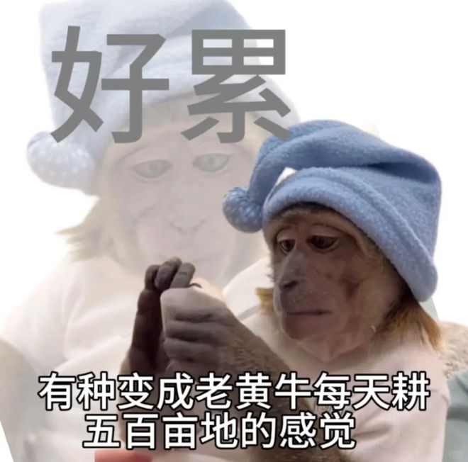 九游娱乐：考公or进大厂？你更适合哪条路(图1)