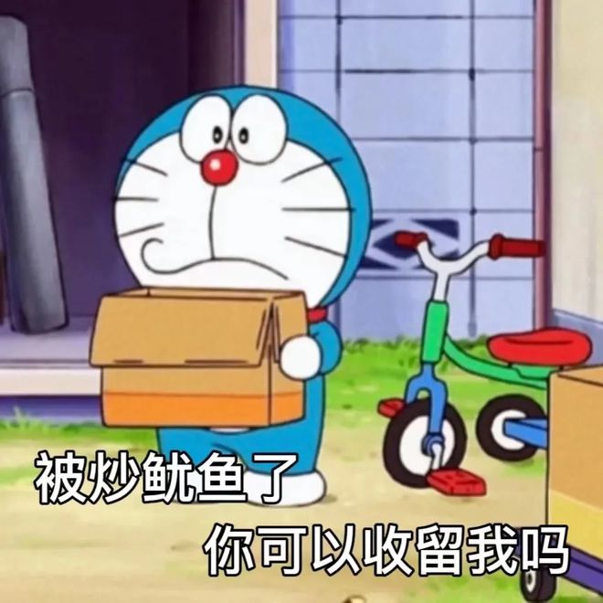 九游娱乐：考公or进大厂？你更适合哪条路(图6)