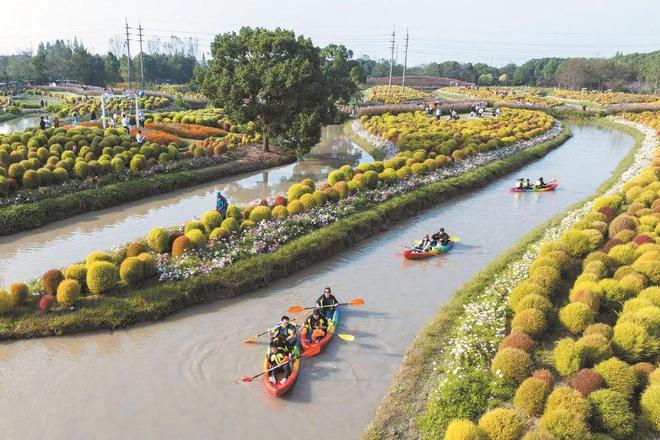 “破圈”到“出圈”全域文旅绘就“金山如画”新卷轴(图4)