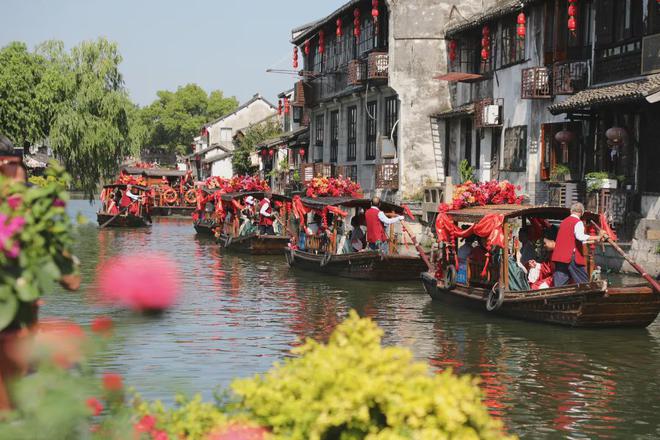 “破圈”到“出圈”全域文旅绘就“金山如画”新卷轴(图7)