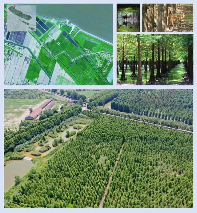 九游娱乐：“沪”动五一上海竟有这么多特色湿地？足不出“沪”拥抱自然一起打卡这份指南(图4)