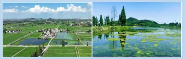 九游娱乐：“沪”动五一上海竟有这么多特色湿地？足不出“沪”拥抱自然一起打卡这份指南(图2)