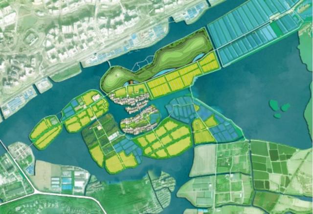九游娱乐：“沪”动五一上海竟有这么多特色湿地？足不出“沪”拥抱自然一起打卡这份指南(图3)