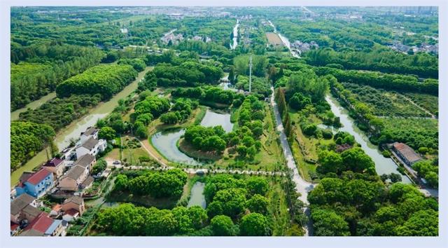 九游娱乐：“沪”动五一上海竟有这么多特色湿地？足不出“沪”拥抱自然一起打卡这份指南(图11)
