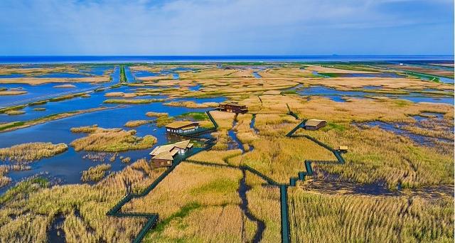 九游娱乐：“沪”动五一上海竟有这么多特色湿地？足不出“沪”拥抱自然一起打卡这份指南(图12)