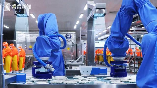 机器人迈向通用智能上海这家企业死磕应用价值(图1)