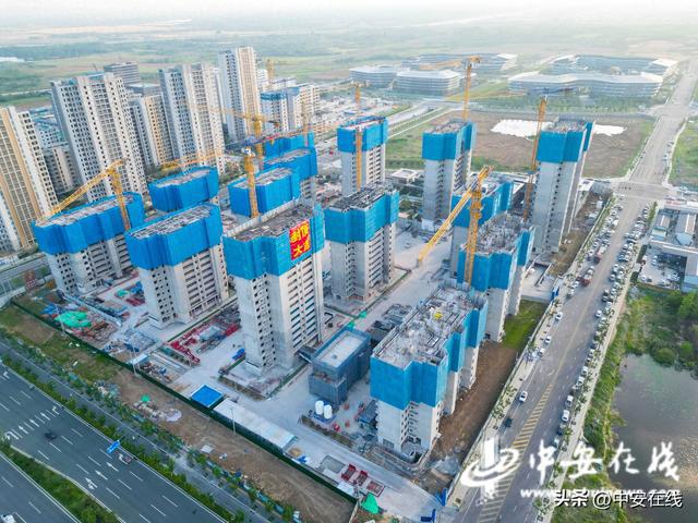 合肥高新区讯飞小镇保障性住房项目首栋主体结构顺利封顶(图1)