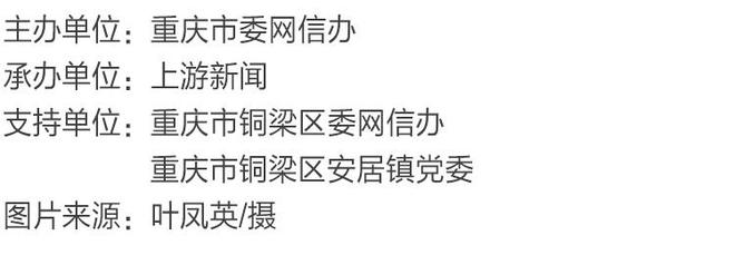渝见好“村”光｜曲水烟峦：铜梁区安居镇琵琶村(图1)