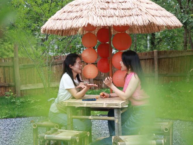 九游娱乐：上新！共享小院的田园漫生活(图4)