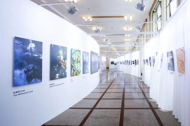 九游娱乐：第十届影像上海艺术博览会成功举办打造全城影像热事！(图3)