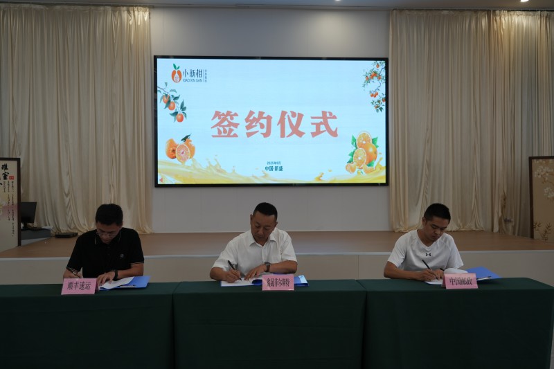 德阳罗江：晚熟柑橘“小新柑”实力圈粉总产值达3亿元(图1)