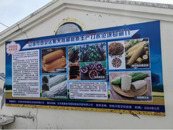 吉林鲜食玉米十大黄金名片｜吉林农发生态：全链协同促发展“重谷”品牌获殊荣(图6)