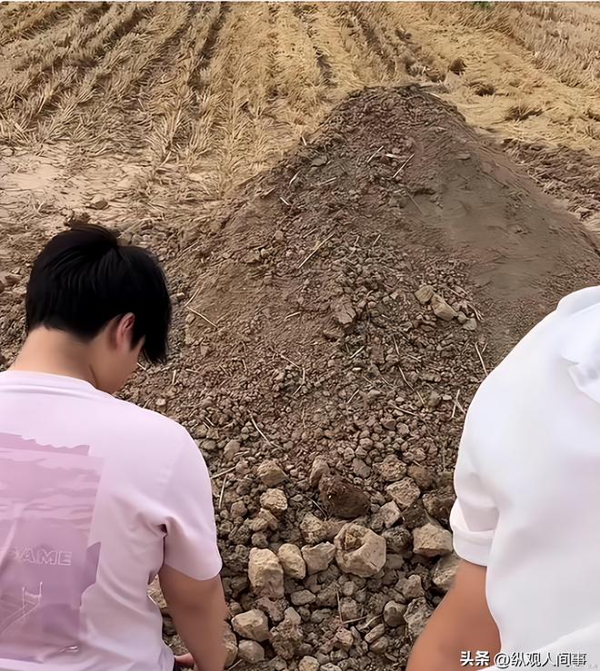 九游娱乐NineGame：34岁河南村花侯丽丽去世！前夫带走遗体脑梗前1天凌晨下地割麦(图15)