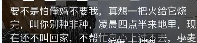 九游娱乐NineGame：34岁河南村花侯丽丽去世！前夫带走遗体脑梗前1天凌晨下地割麦(图8)