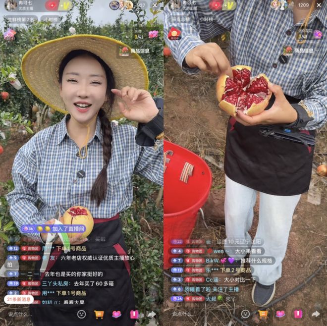 川渝水果猎人齐上阵带“红”会理石榴走出凉山(图4)