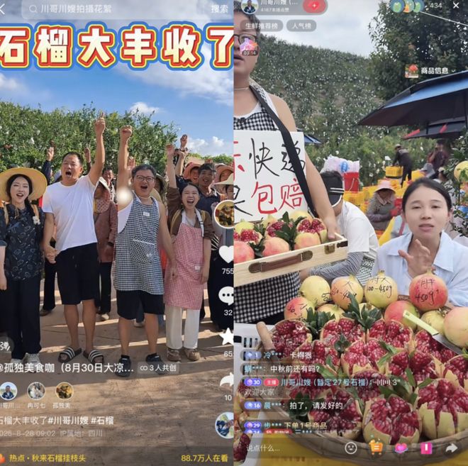 川渝水果猎人齐上阵带“红”会理石榴走出凉山(图1)