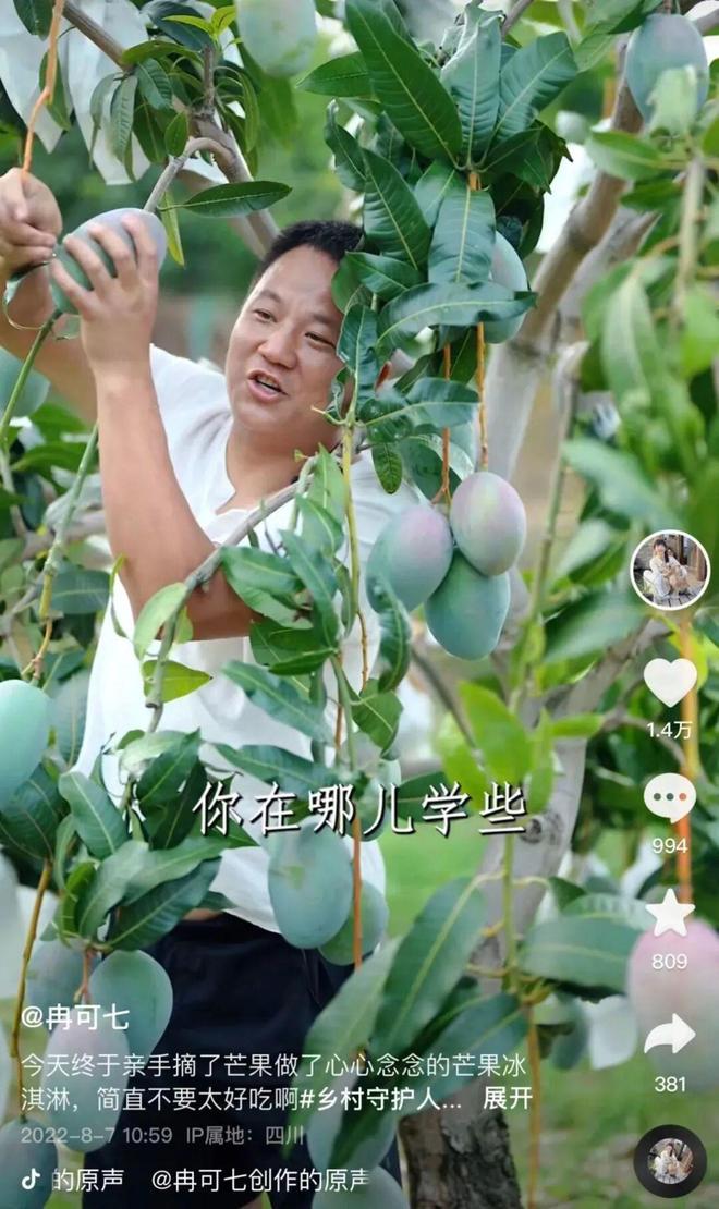 川渝水果猎人齐上阵带“红”会理石榴走出凉山(图7)