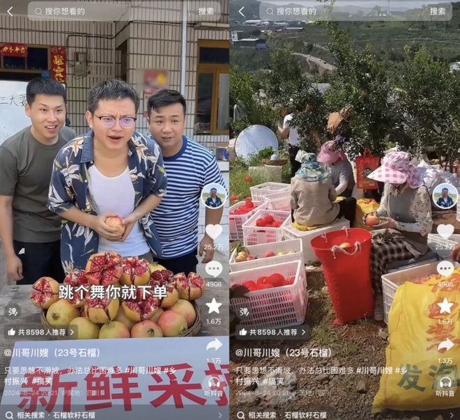 川渝水果猎人齐上阵带“红”会理石榴走出凉山(图9)