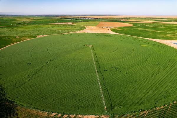 蒙牛2025年半年报：创新求变让消费者喝上奶、喝好奶、喝对奶(图7)