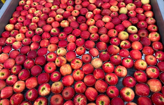 中美贸易战的背后最大受益国发声：中国已取消所有反制和壁垒(图4)