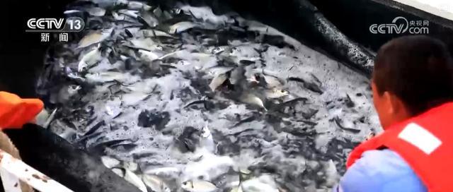 经济、民生、科技、生态……多维度立体“数”览海洋发展亮眼“成绩单”(图5)