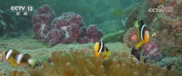 经济、民生、科技、生态……多维度立体“数”览海洋发展亮眼“成绩单”(图6)