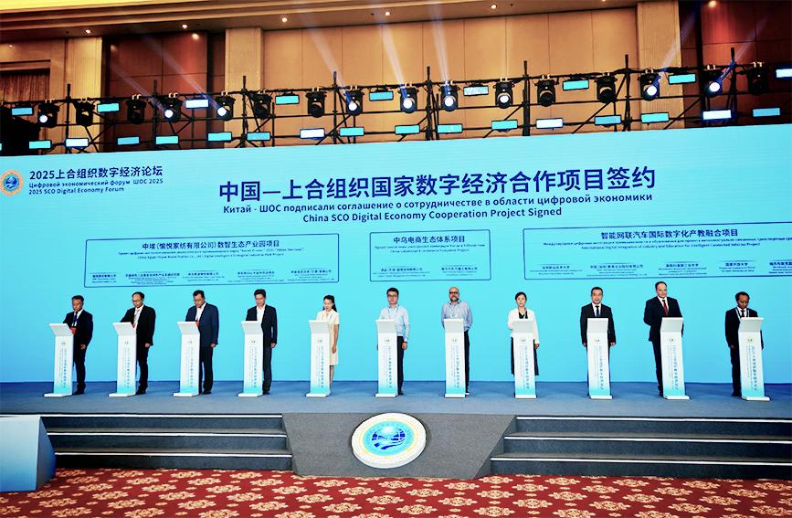 一只“数字和平鸽”牵出的合作新篇(图3)