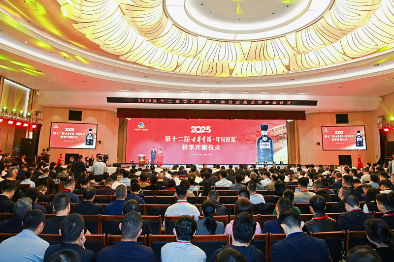 四地同酿双城联动(图1)