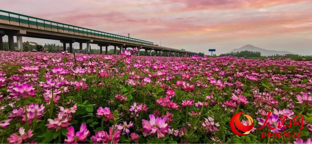 皖南小县城的“大格局”(图2)