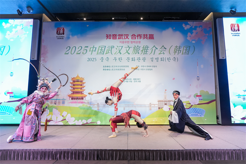 “知音武汉·合作共赢”文旅推介活动在韩国举办(图2)