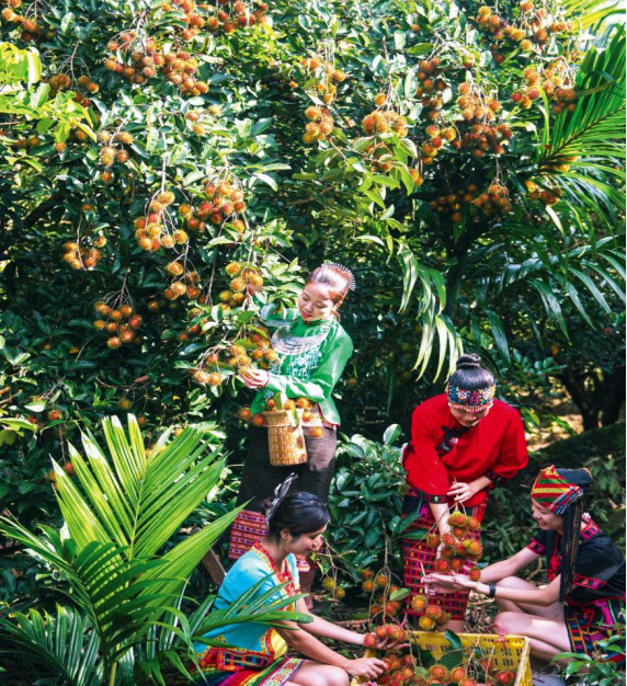 【答卷十四五·央企惠民生】从赋能到共生：央企解锁乡村振兴新密码(图4)