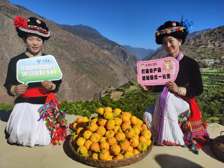 【答卷十四五·央企惠民生】从赋能到共生：央企解锁乡村振兴新密码(图7)