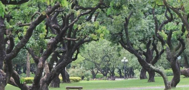 权威特价房✨观山海家园售楼处电线年末团购！(图33)