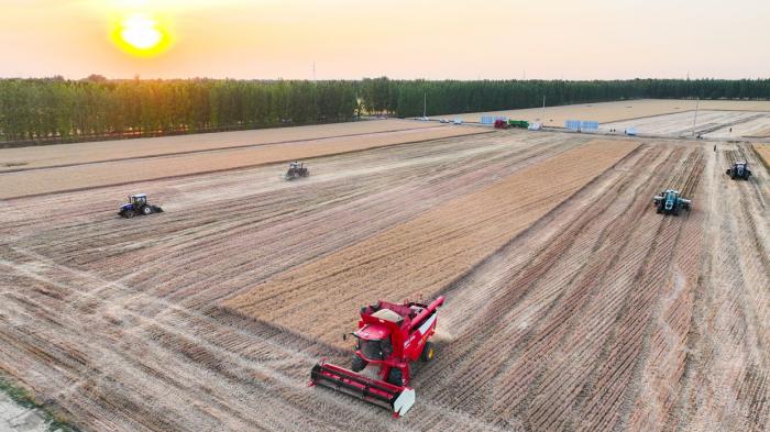 智耕沃土收获未来丨潍柴雷沃智慧农业携手全球合作伙伴开启智慧农业新可能(图3)