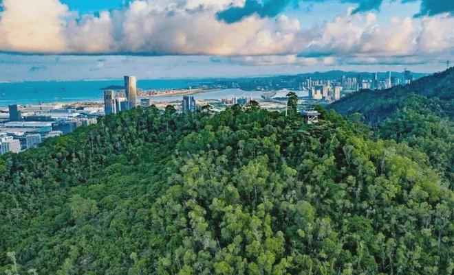 ⚡热搜榜首豪宅：⚡琅玥湾佳园售楼处官宣启幕奢居新章！(图10)