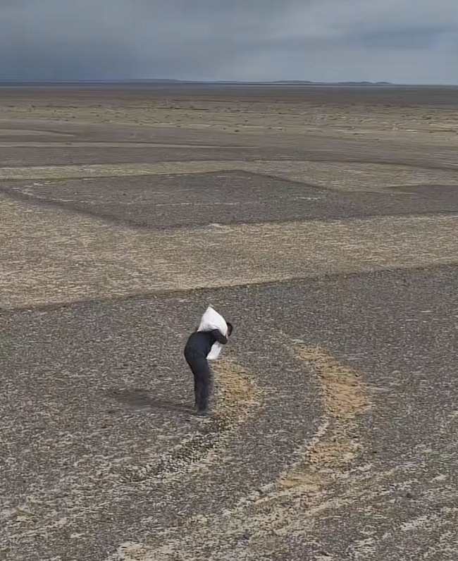 修复为人民服务航标博主重回现场自媒体人主动修复(图1)