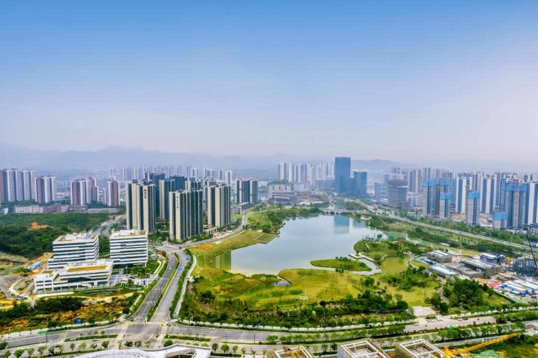 2025内容创作者嘉年华启动！广州6区扶持政策包重磅发布→(图10)