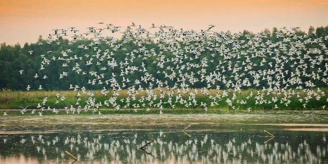 九游娱乐NineGame：诚邀全球创作者！广州发布创作者扶持“政策包”(图13)