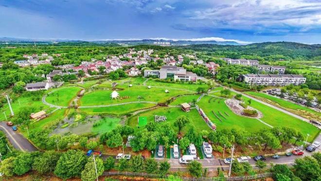 九游娱乐NineGame：南京最老桂花树香了整个村子！(图5)