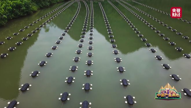 九游娱乐：央视关注丨“嗦”出来的百亿大产业！柳州这座城全球圈“粉”→(图6)