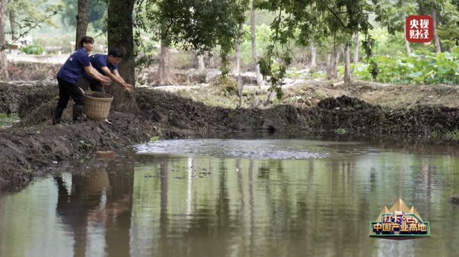 九游娱乐：央视关注丨“嗦”出来的百亿大产业！柳州这座城全球圈“粉”→(图5)