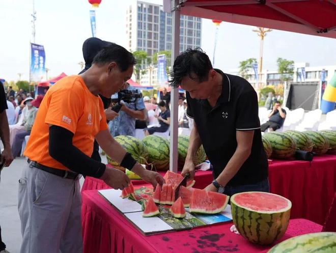 九游娱乐NineGame：中卫农产品太牛了！硒砂瓜出海、枸杞卖遍40国田间货成了“香饽饽”(图1)