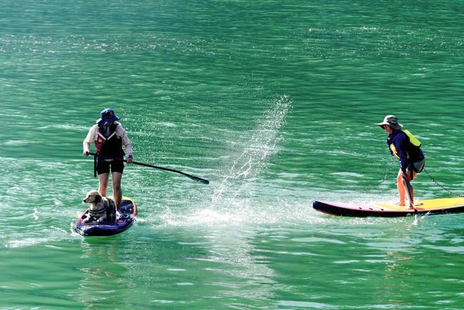 九游娱乐：三年相约彩云之南户外运动见证绿水青山变金山银山(图6)