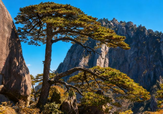 九游娱乐：黄山2日游住山上最便宜多少钱？经济型住宿+行程精简费用攻略！(图3)