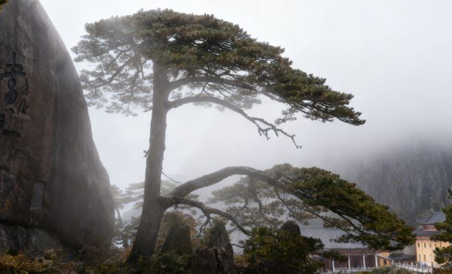 九游娱乐：黄山2日游住山上最便宜多少钱？经济型住宿+行程精简费用攻略！(图5)