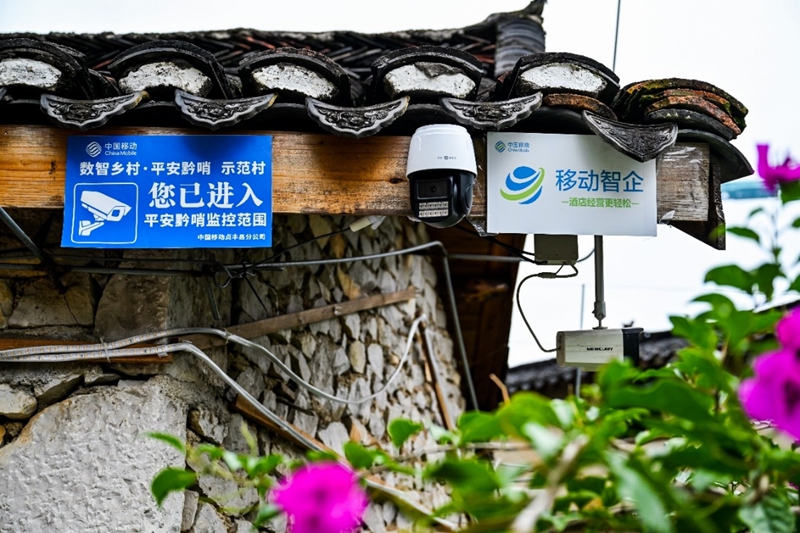 九游娱乐：从花江峡谷大桥出发：探访“多彩贵州移起向新”(图10)