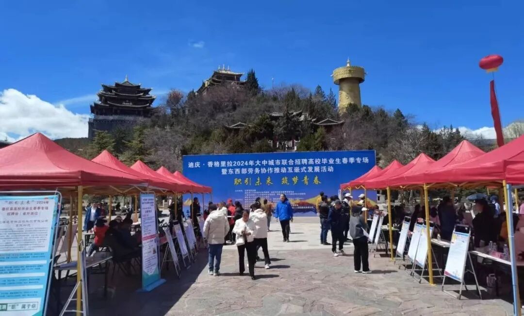九游娱乐：政策为翼服务为桥品牌为媒——雪域高原绘就就业增收新图景(图3)