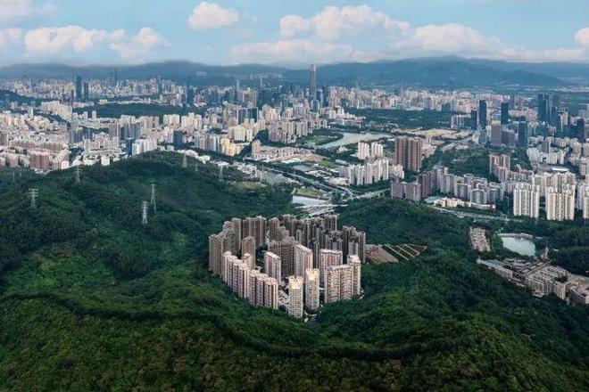 ✨今日豪宅✨栖棠映山发布：深圳顶豪栖棠映山全方位揭秘(图4)