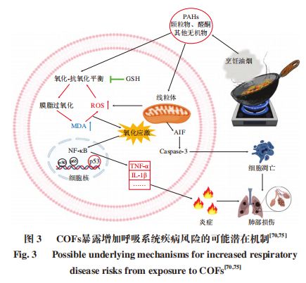 3个不起眼的炒菜习惯很多人天天做却不知伤肺又致癌(图3)
